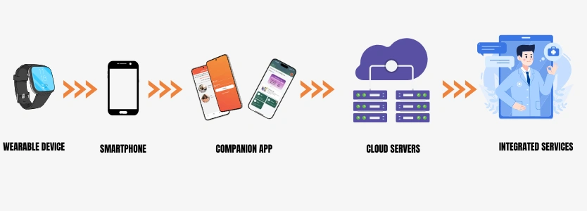 Wearable Device Privacy: Why It Matters and How to Protect Your Personal Health Data