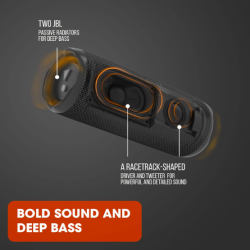 JBL Flip 6 JBL Flip 6