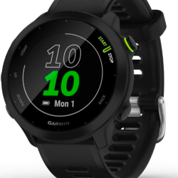 Garmin Forerunner 55 Garmin Forerunner 55