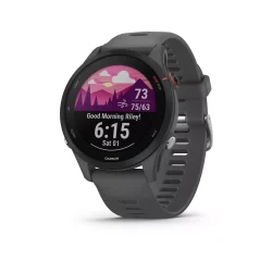 Garmin Forerunner 255 Garmin Forerunner 255